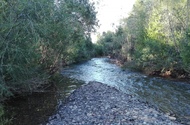 Chadan river, the place near the tent city and the glade where concert shows going on